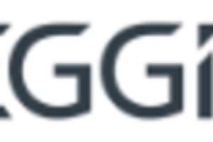 Meggitt Logo